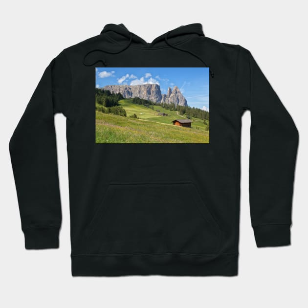 Alpe di Siusi and Sciliar Massif Hoodie by yairkarelic